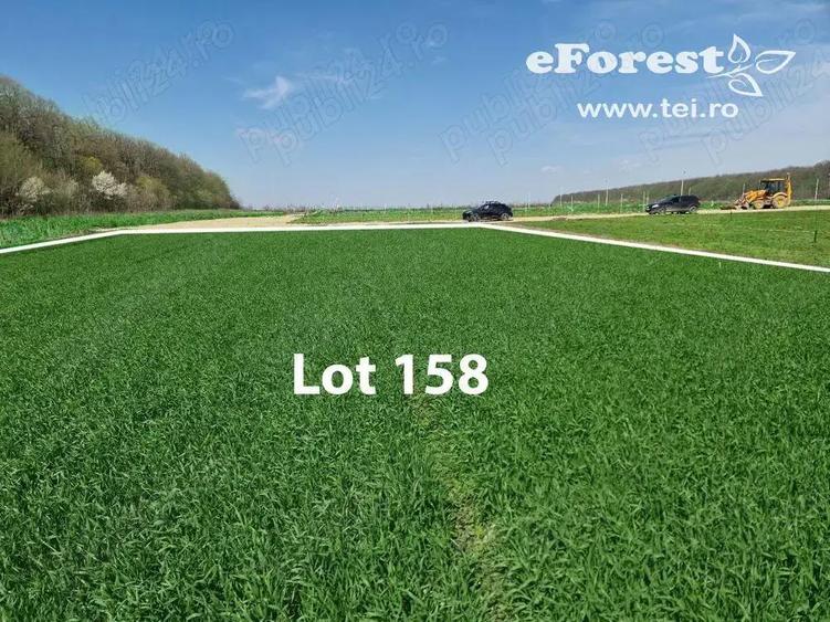 Profita acum de oferta de Paste! Loturi de casa langa padure, eForest - 10
