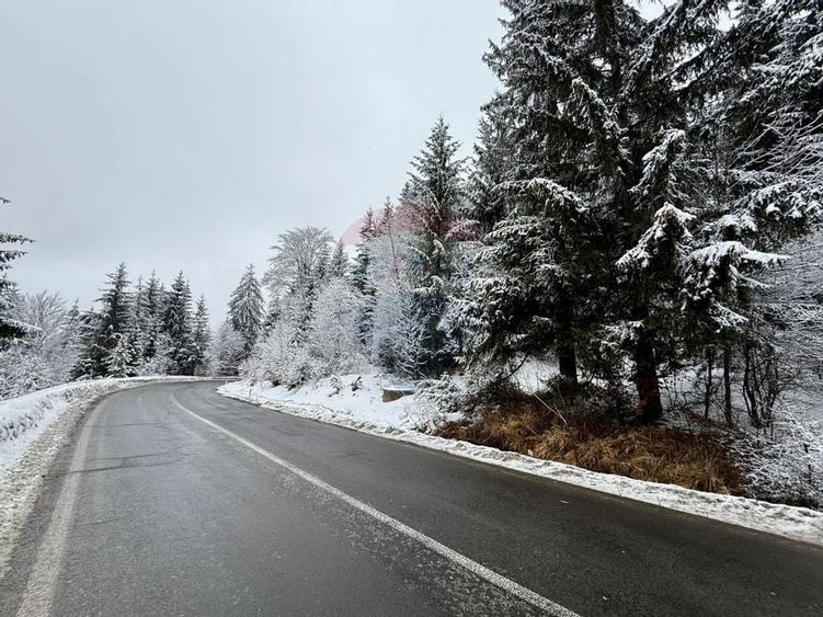 Teren 1,419mp Moroeni / DN 71 - 1