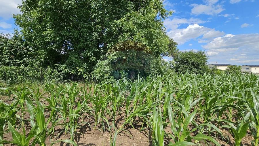 Casa / Vila, teren 1700mp,  in Lisaura-Ipotesti, Suceava - 41