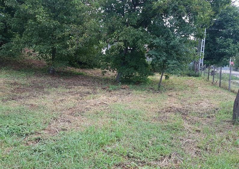 Parava, sat Dragusani, teren 4800mp, la asfalt - 20