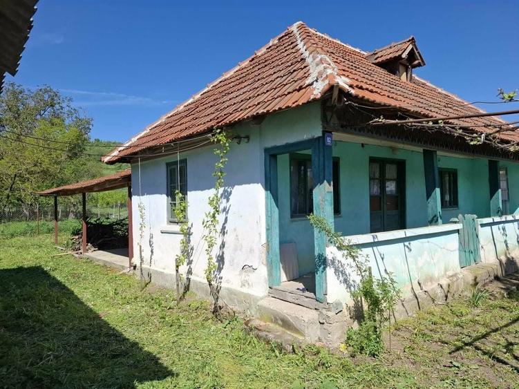 Casa de vanzare in sat Busu, comuna Grecesti, judetul Dolj. - 3