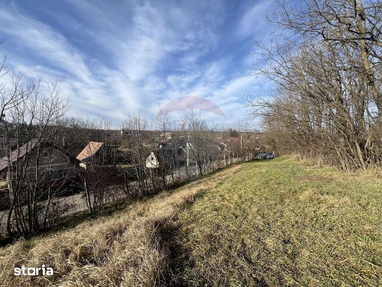 Teren de 10000 mp, în Moldovenești
