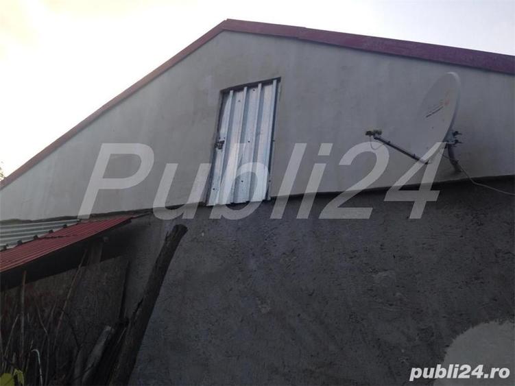 Casă cu 3 camere cu Teren 5000 Mp în Pătlăgeanca