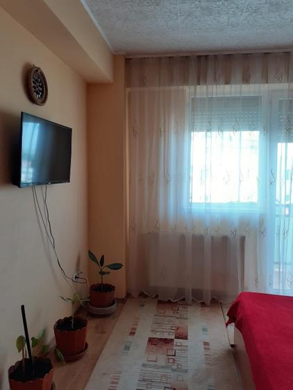 Apartament cu 2 camere decomandat în Turnișor