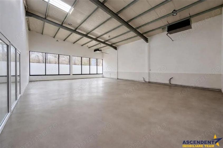 Hala productie premium+pachet afacere, domeniu de 4.700 mp teren,Solovastru, Mures - 3
