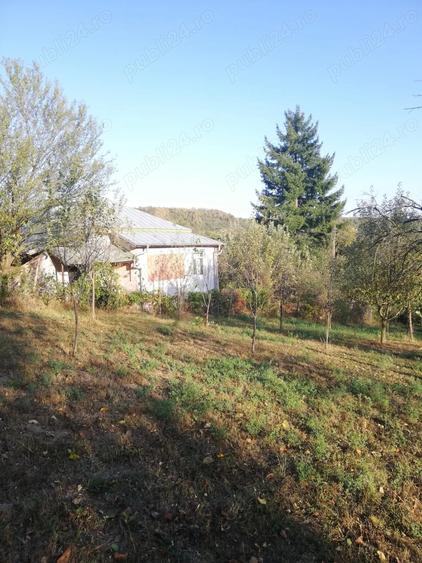 Case de vanzare +25000mp-Calinesti Arge?,langa Pite?ti ?i Topoloveni - 1