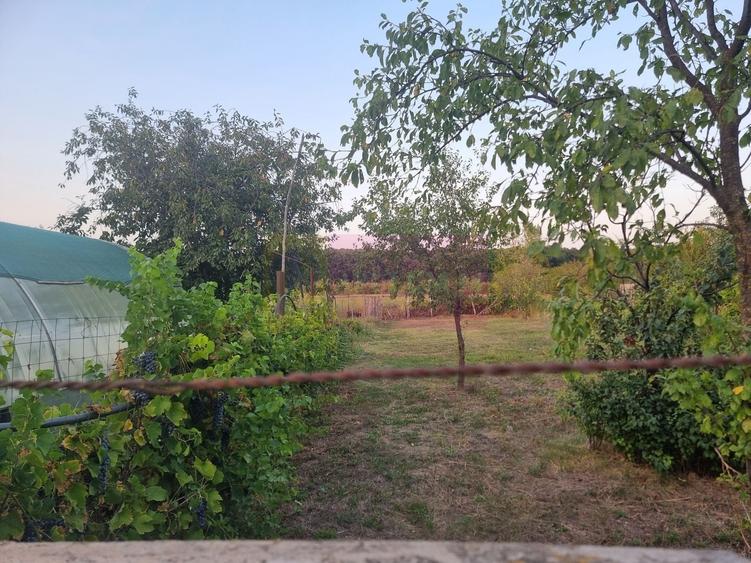 VANZARE CASA P+1+M (5 CAM) SAT SADINA COM. ROATA DE JOS (GR) - 6