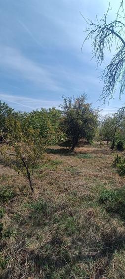 Casa de Vanzare in localitatea Jidostita jud MH - 4