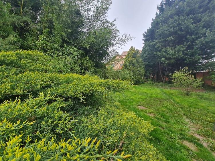 Vila individuala,la 10 min de Piața Victoriei! - 30