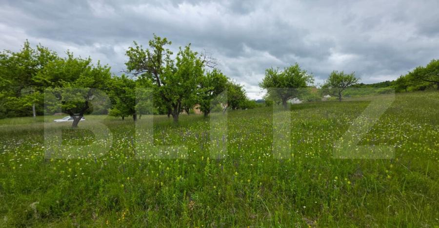 Teren intravilan, 34 ari intravilan, zona Unirea - 8