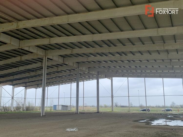 COMISION 0% Hala industriala 5500 mp utili zona de Nord Timisoara - ID V5143 - 9