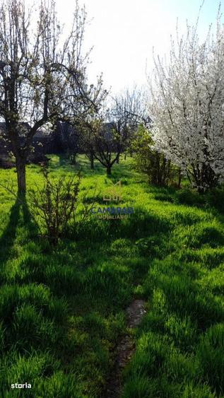 Teren de vanzare in Tamadau Mare, jud. Calarasi Strada Principala - 17
