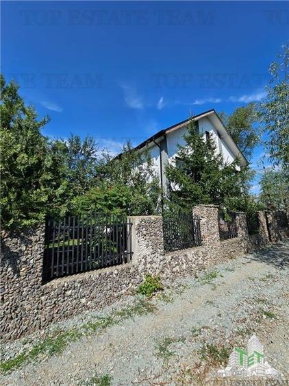 Vila superba, cu piscina, 970mp teren, D+P+E+M, gradina amenajata+pomi fructifer - 4