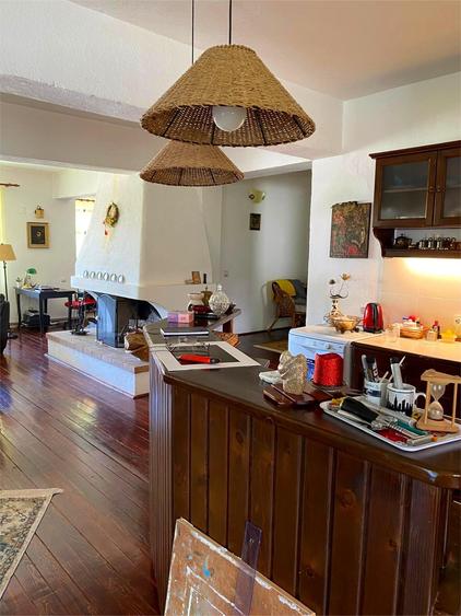 Casa  P+M, cu teren de 9721 mp - 3