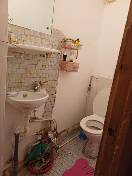 Crangasi Vintila Mihailescu! - 9