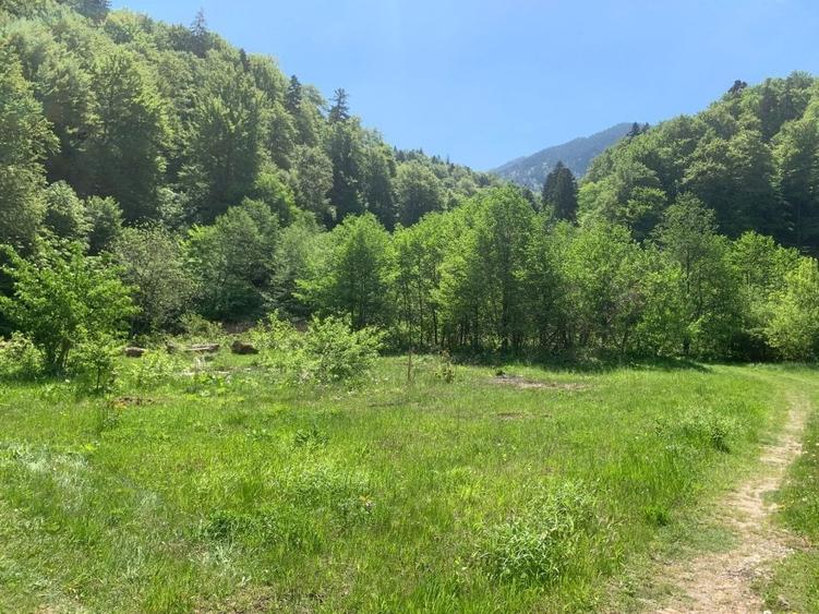 Teren de vanzare DN1. - 8