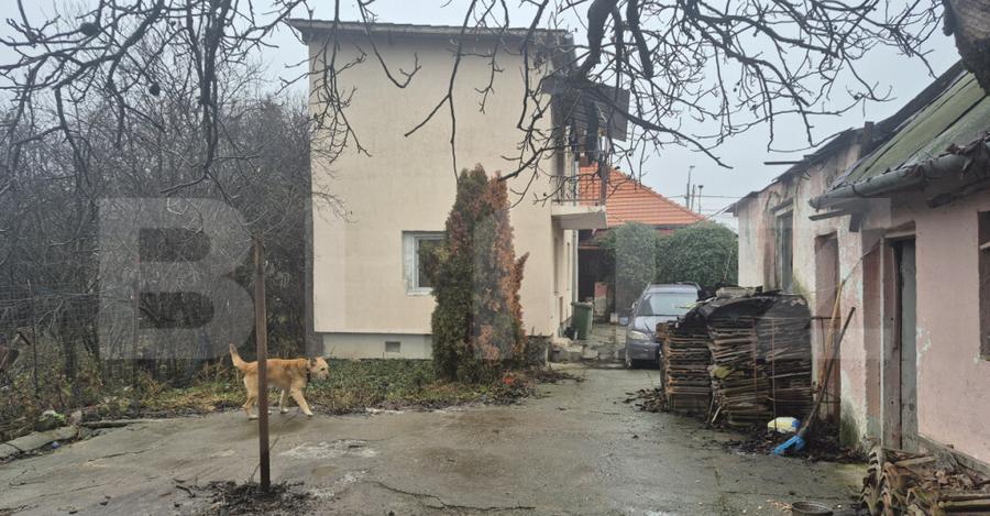 Casa 4 dormitoare, 190 mp, 1306 mp teren, zona Careiului - 15