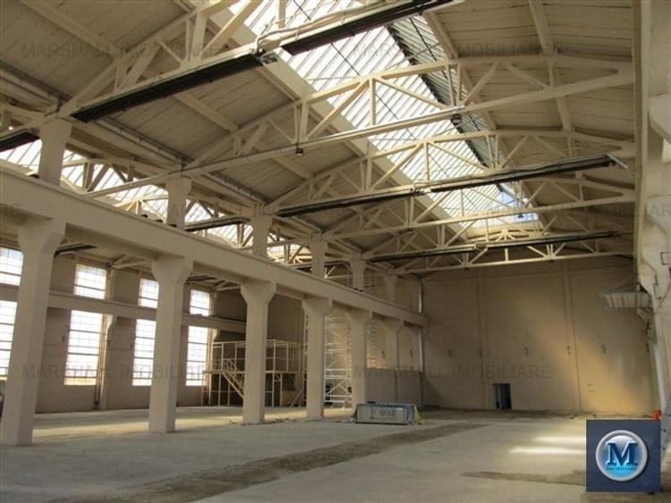 Spatiu industrial de inchiriat in Boldesti-Scaeni, zona Sud, 1948 mp #10186 - 7