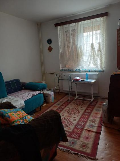 Crangasi Vintila Mihailescu! - 5