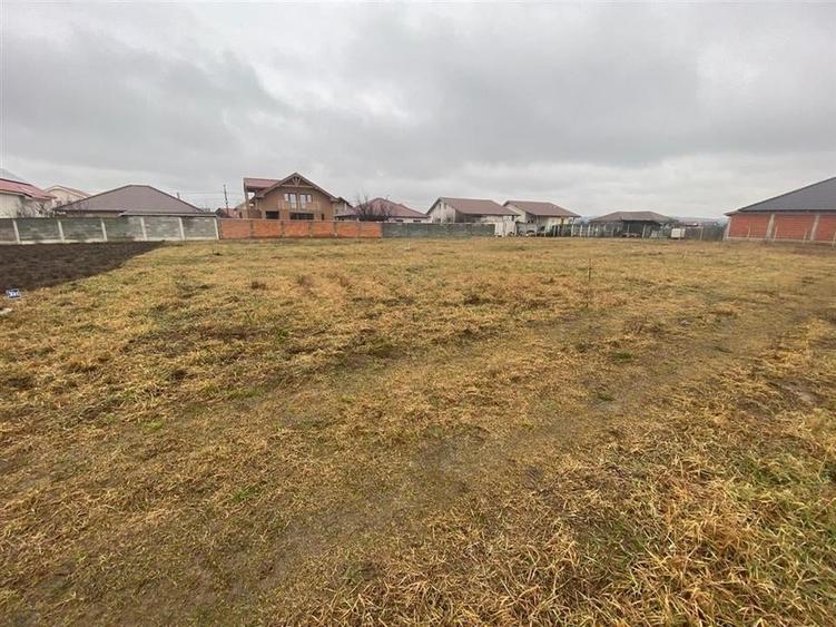 RECO teren Episcopia - 3