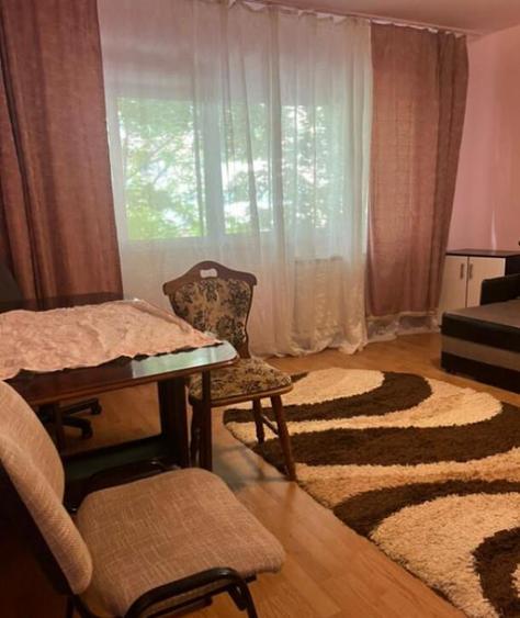 Apartament cu o camera Sagului - 7