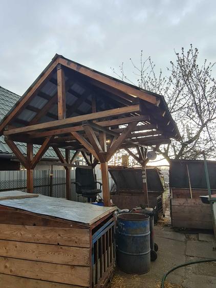 Vand vie cu anexe construite - 6