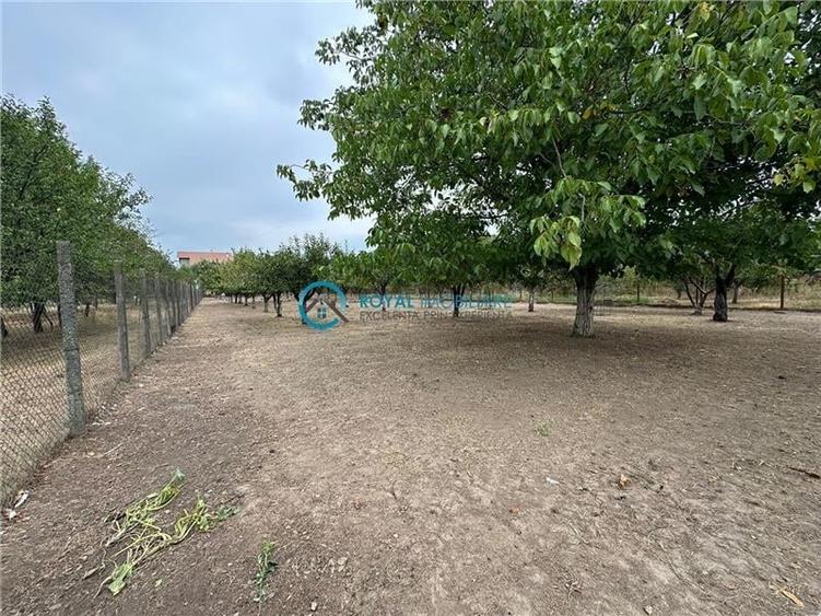 Royal Imobiliare - Vanzare vila zona Lipanesti - 35