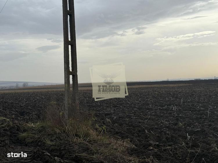Teren extravilan in EXCLUSIVITATE 20300 mp in Sura Mica - 2
