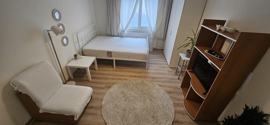 Garsoniera-renovata-integral-mobilata-utilata-poarta-6 - 1