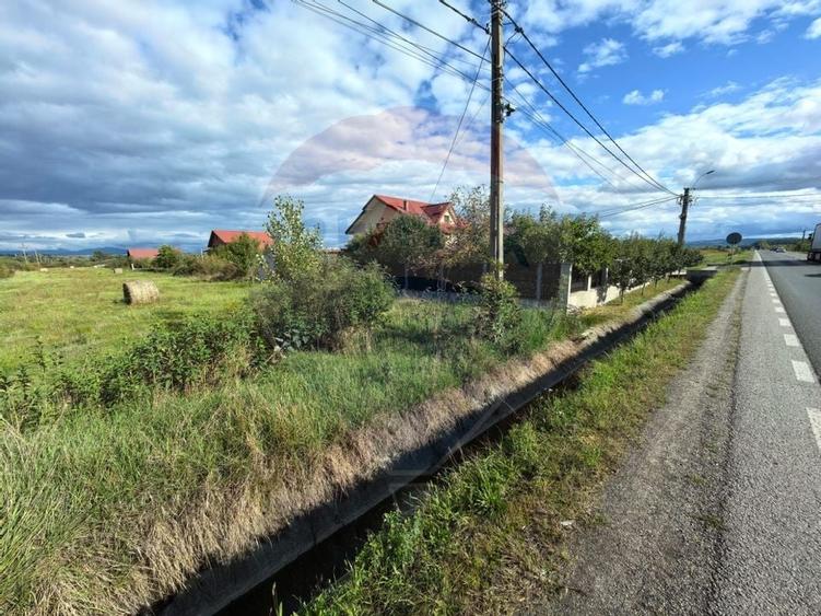 Teren intravilan De Vanzare - 5