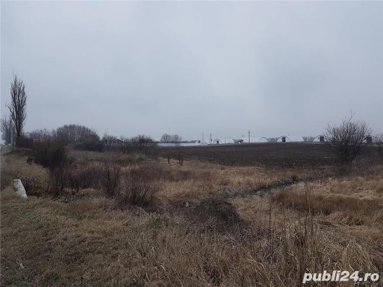 Teren de vanzare - 3