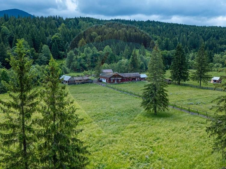 Ferma de vanzare, teren 21436 mp intravilan, Cosnea, Agas - 15