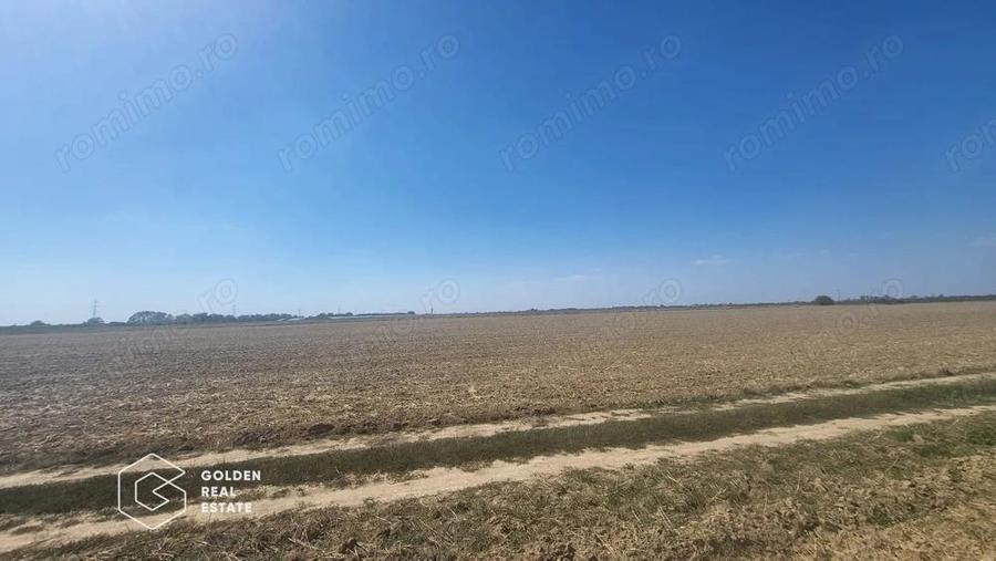 Teren Mosnita Noua, 11600 mp - 2