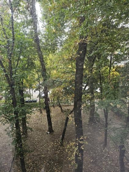 Piata Victoriei , Ion Mihalache stradal , Piata Domeni - 10