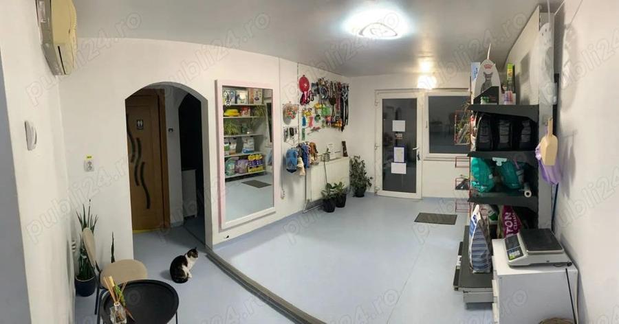 Proprietar inchiriez - 5