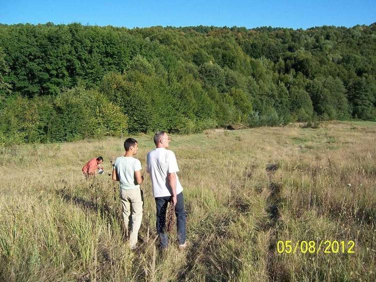 Teren de 6000 mp inconjurat de padure Stefanesti Arges - 3