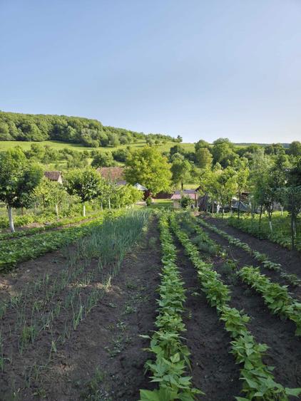casa de vanzare in Mura Mare - 2