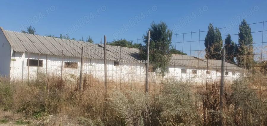 Inchiriez sau vand hala