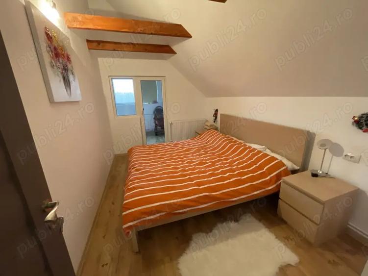 Vand cabana la Belis - 2