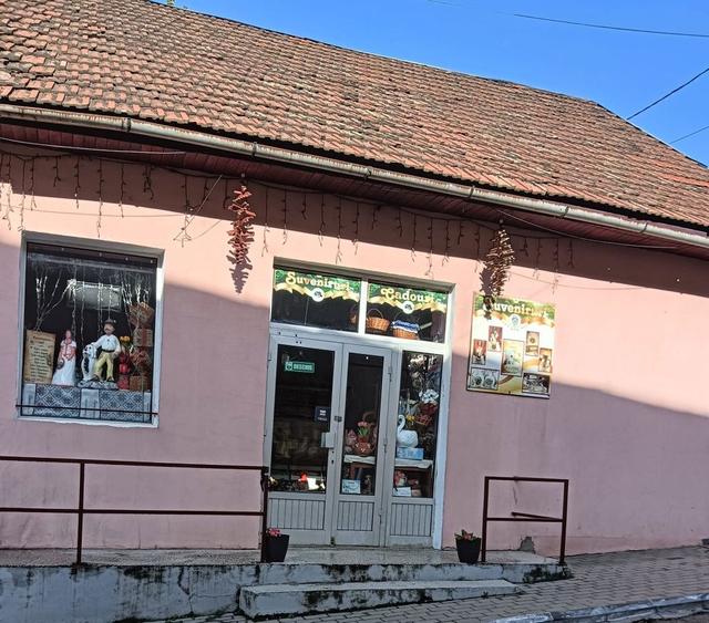 Spatiu comercial de vanzare in Anina - 2