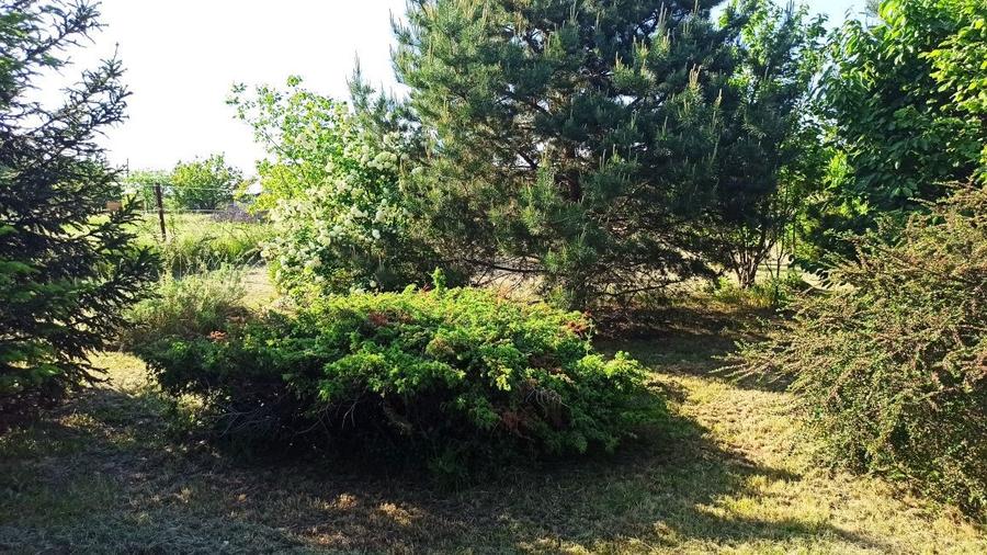 De vanzare 5 ha de teren - 3