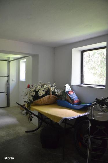 Predeal-Casa de vacanta 4 (patru)camere - 6