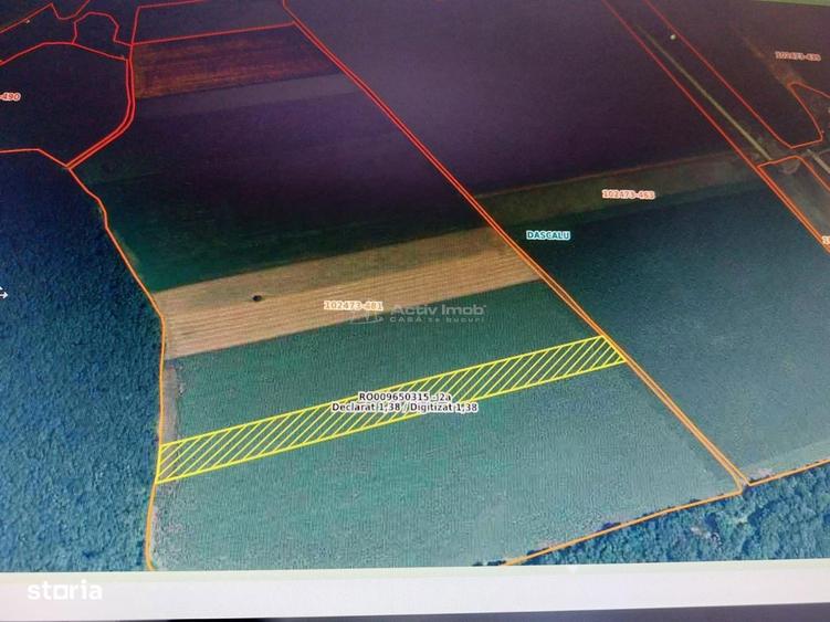 Teren Intravilan - Dascalu - 13500mp - deschidere 34.5mp - 7