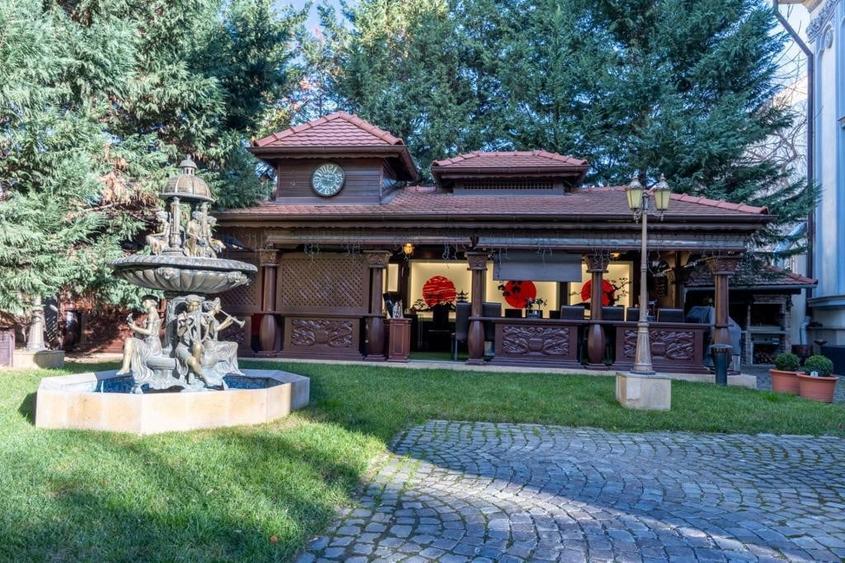 De Vanzare! Vila Exclusivista in zona Unirii - 5