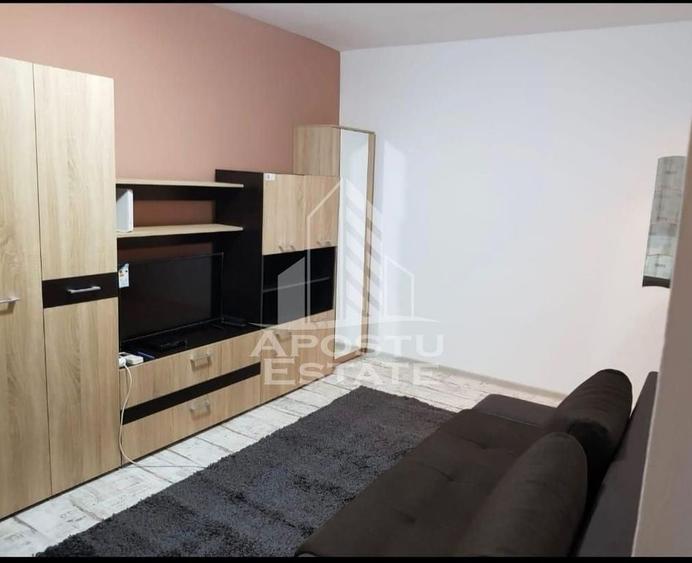 Apartament o camera, Sagului, clima, complet mobilat si u... - 5