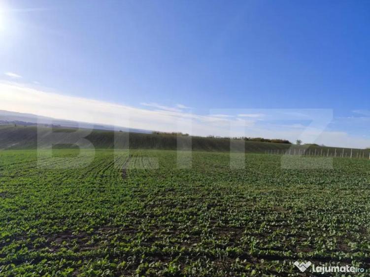 Teren 1.5 ha, 32 m deschidere, zona Vorovesti- Ferma Liliac - 1