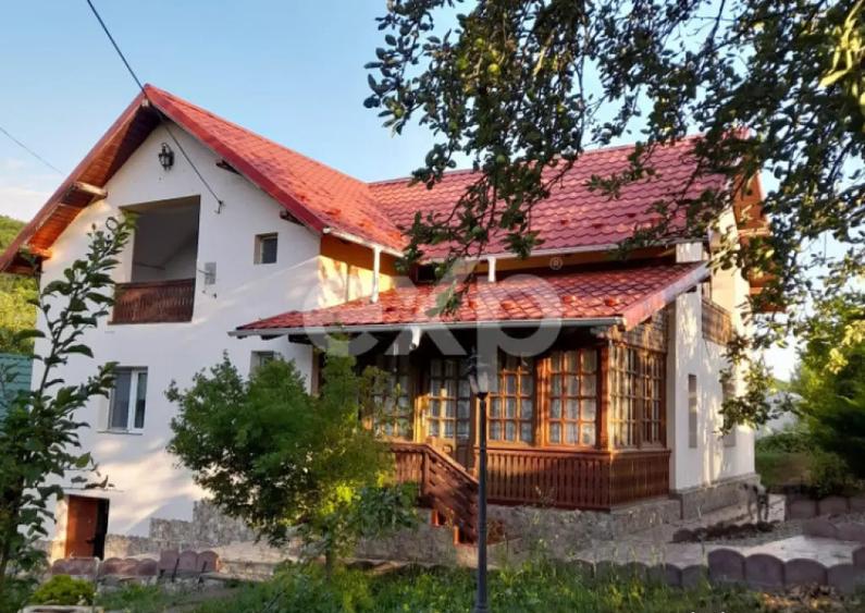 Casa la ?ara complet mobilata, 5.500 mp teren Topli? - 17