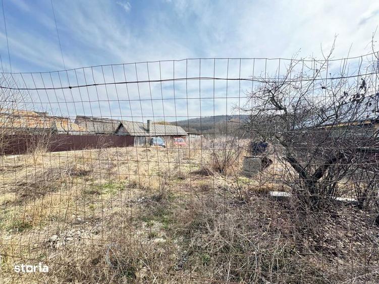 Teren intravilan la strada si padure in Traian - ocazie rara - 1