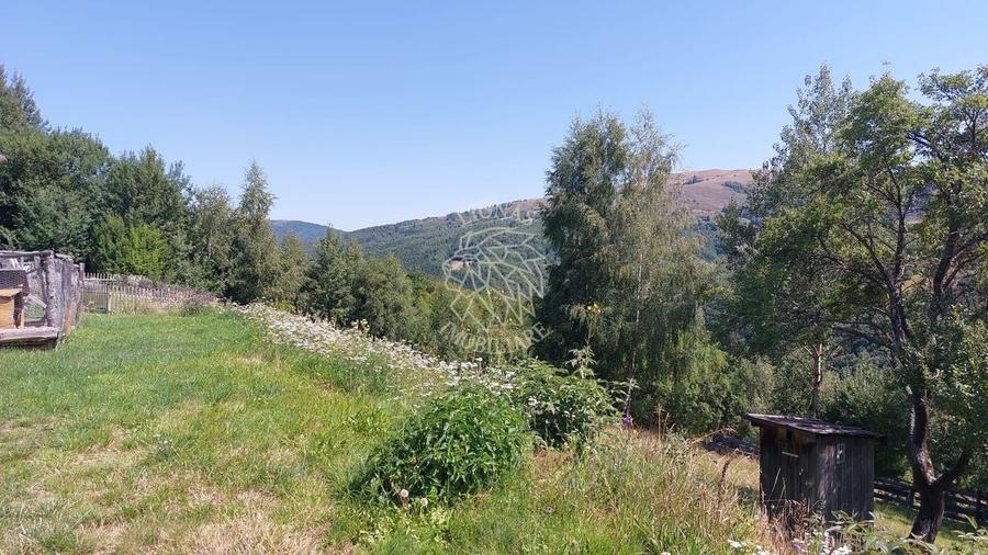 Teren extravilan investiție Rachitele Cluj - 31.555 mp - 6