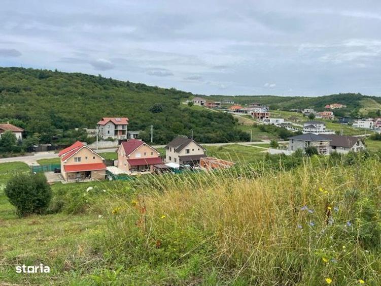 Teren intravilan zona Gh Doja, panorama lac , sup 1050 mp, front 25 ml - 3